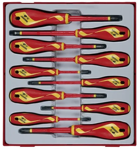 Teng Tools 1000V Schraubendreher-Set TTDV910N mit 10 Teilen